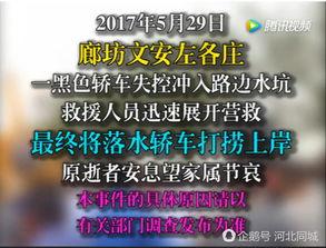 文安网友爆料新闻最新,揭秘当地惊人事件真相