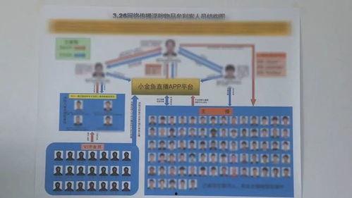 云南昆明房价最新爆料,涨跌动态全解析